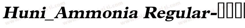 Huni_Ammonia Regular字体转换